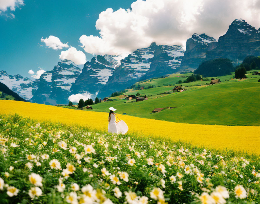 Person in white dress and hat in yellow flower field with mountains.