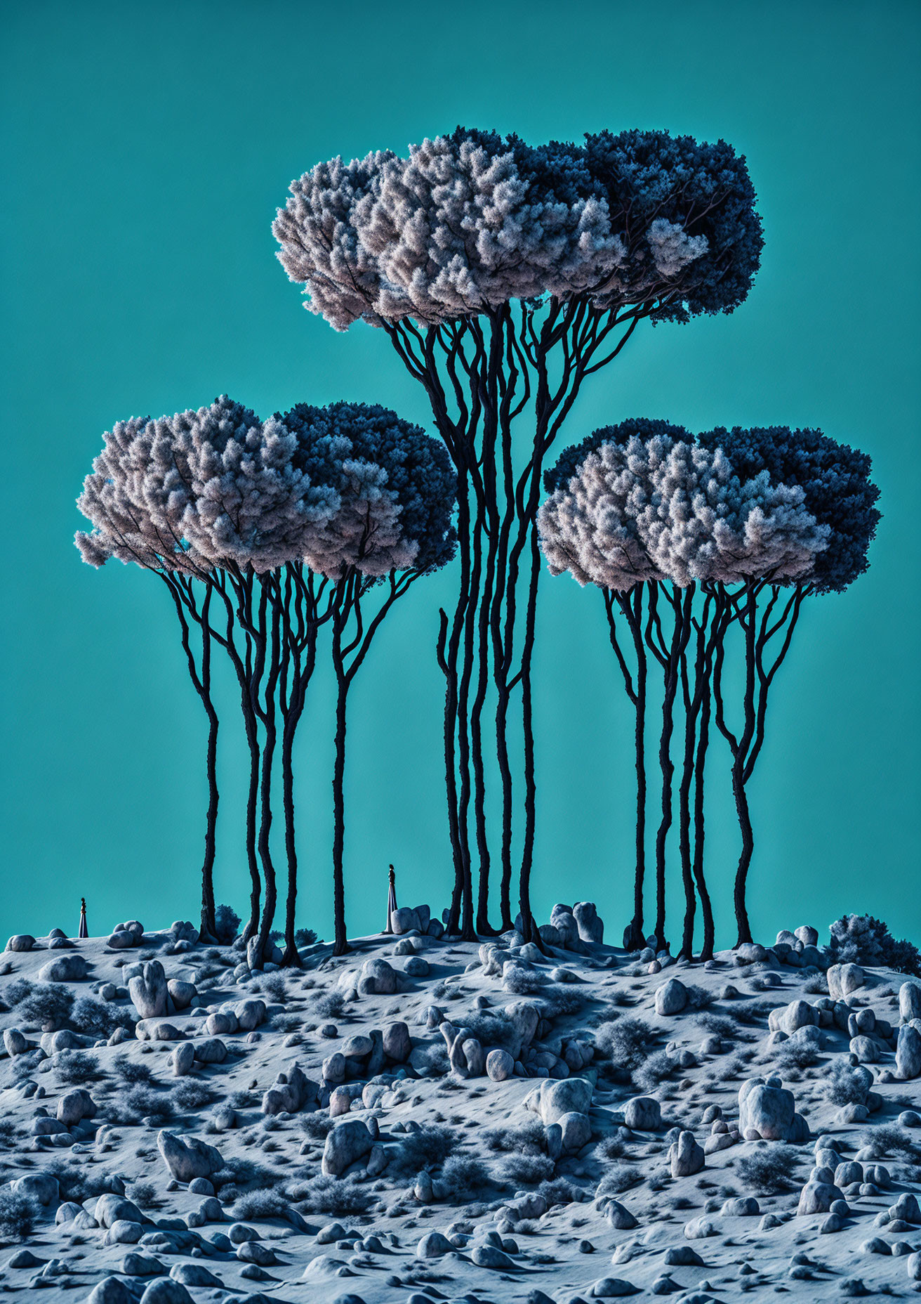 Slender Trees with Rounded Canopies on Rocky Terrain and Turquoise Sky