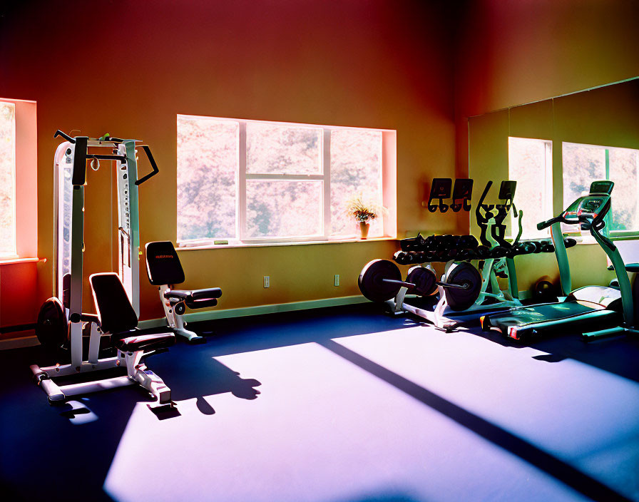 Bright Gym with Weight Training Equipment and Sunlit Windows