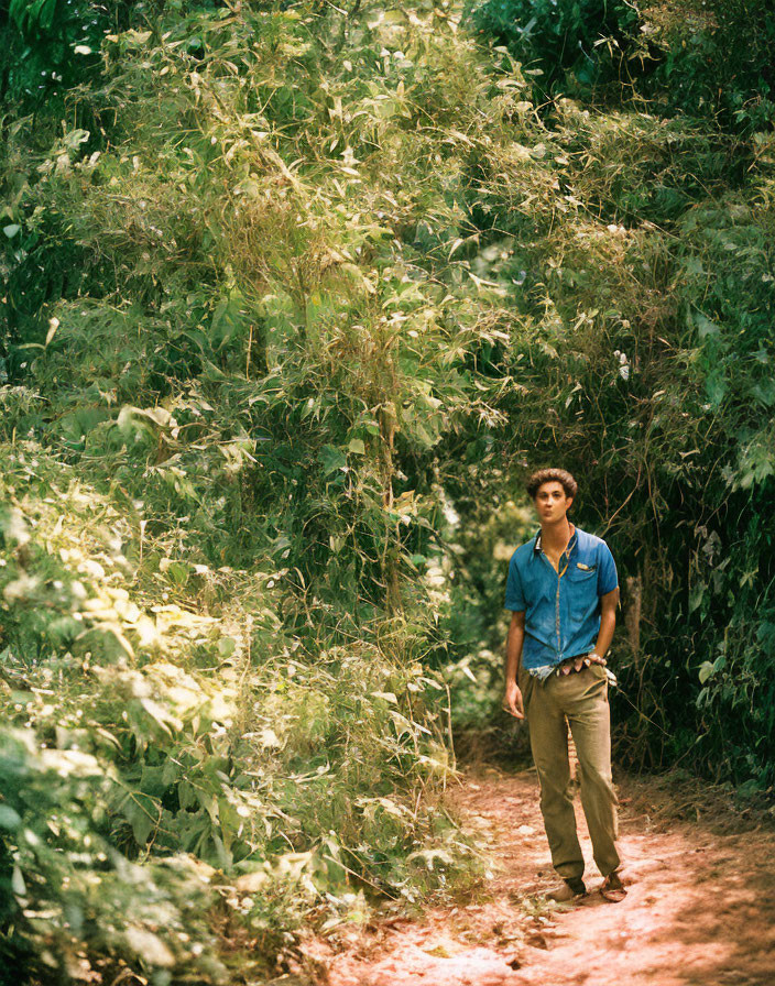 Person walking on forest path with lush green foliage