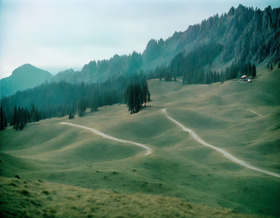 Scenic dirt road through green alpine meadow and mountains