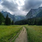 Tranquil mountain landscape with stream, wildflowers, and dramatic sky