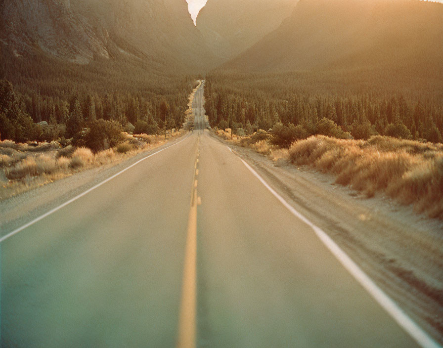 Scenic valley road through forested mountains at golden hour