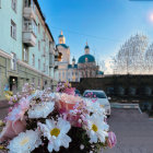 Pastel Buildings and Vibrant Flowers in Serene Street Scene