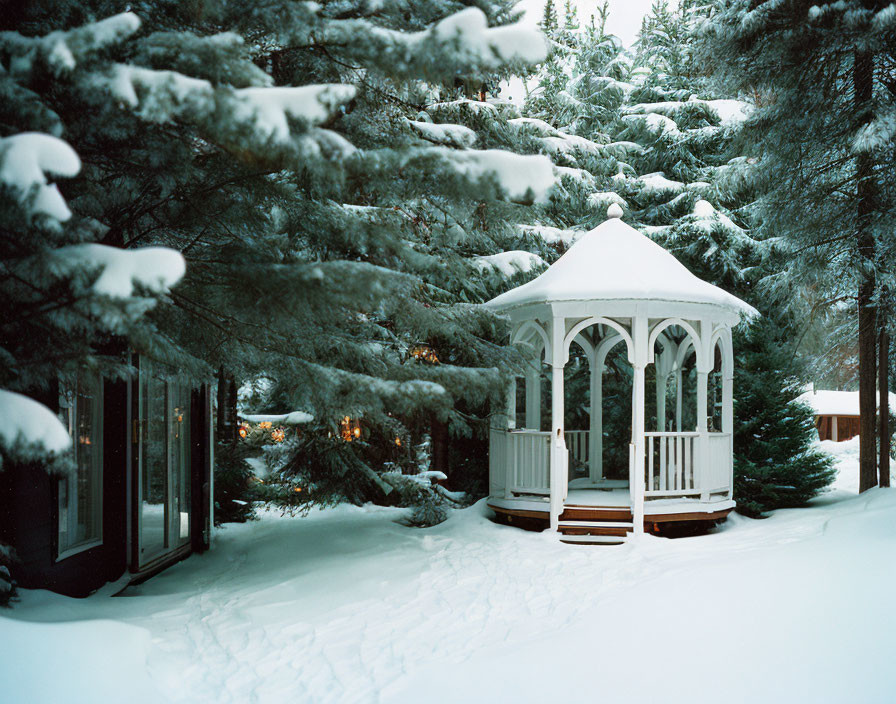 Snow-covered garden with gazebo and pine trees in serene winter landscape