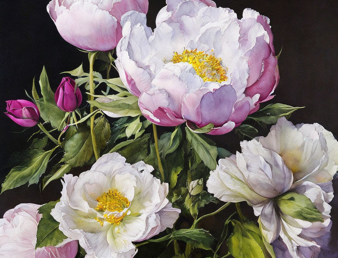 Vibrant watercolor painting of blooming peonies in pink and white