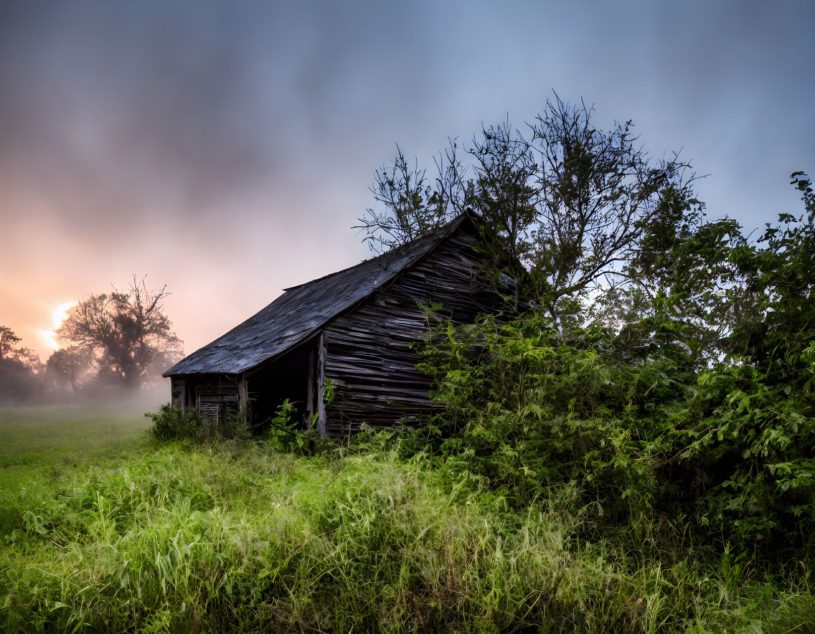 Rustic wooden barn in overgrown field under dramatic sky