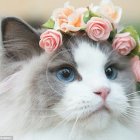 Whimsical cat painting with floral crown and fur blending into petals