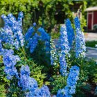 Colorful Blue and Purple Orchids in Lush Garden Setting