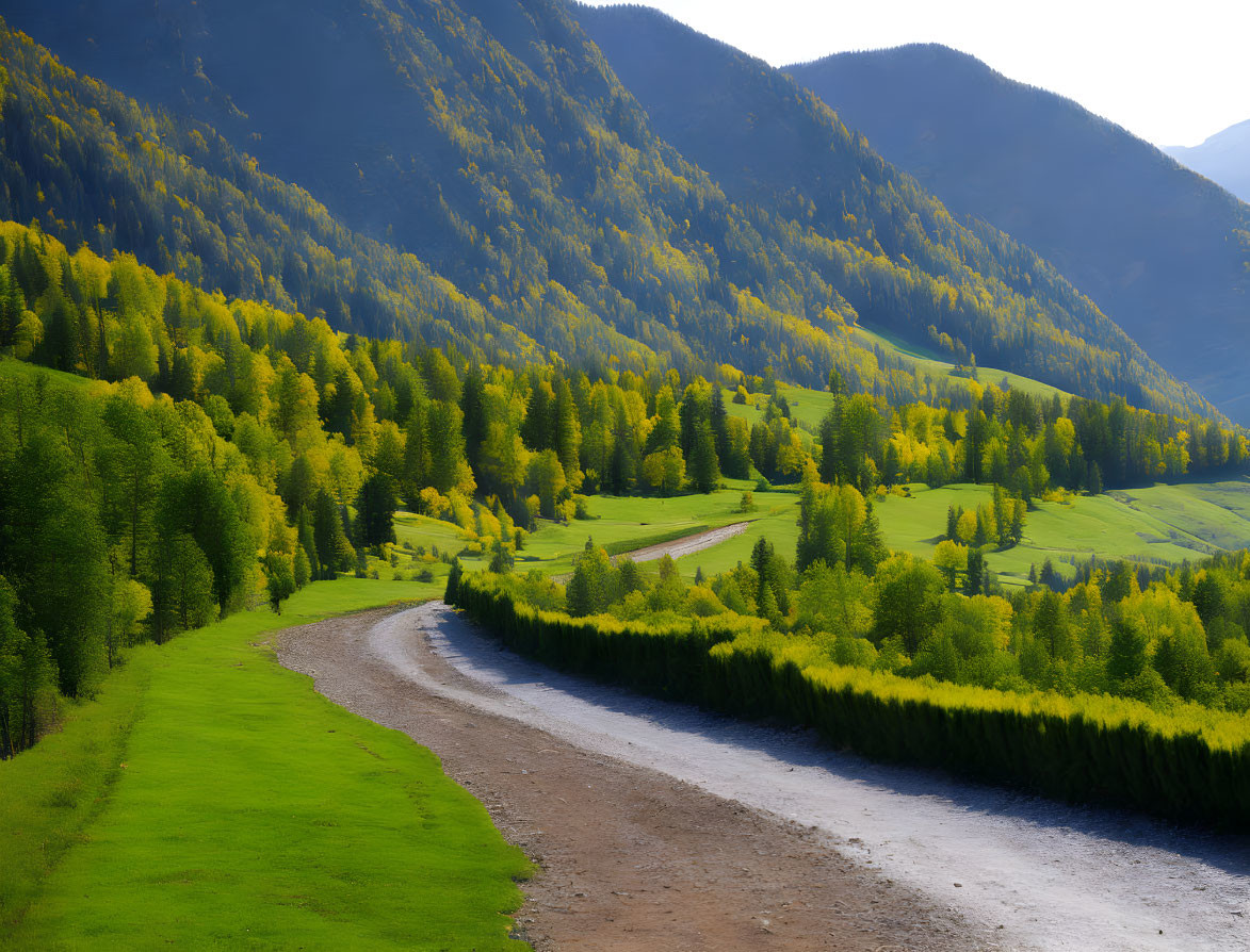 Lush Valley with Winding River and Sunlit Hills