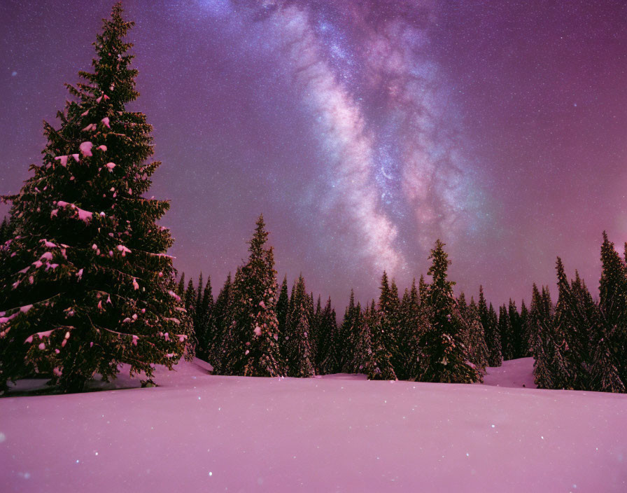 Snow-covered trees under starry sky with Milky Way on winter night