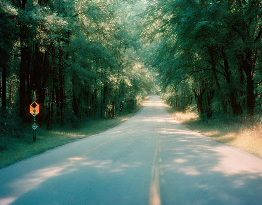 Tranquil country road with green trees and road sign