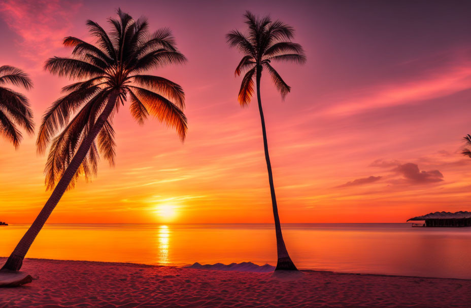 Tropical Beach Sunset with Palm Tree Silhouettes in Vibrant Sky