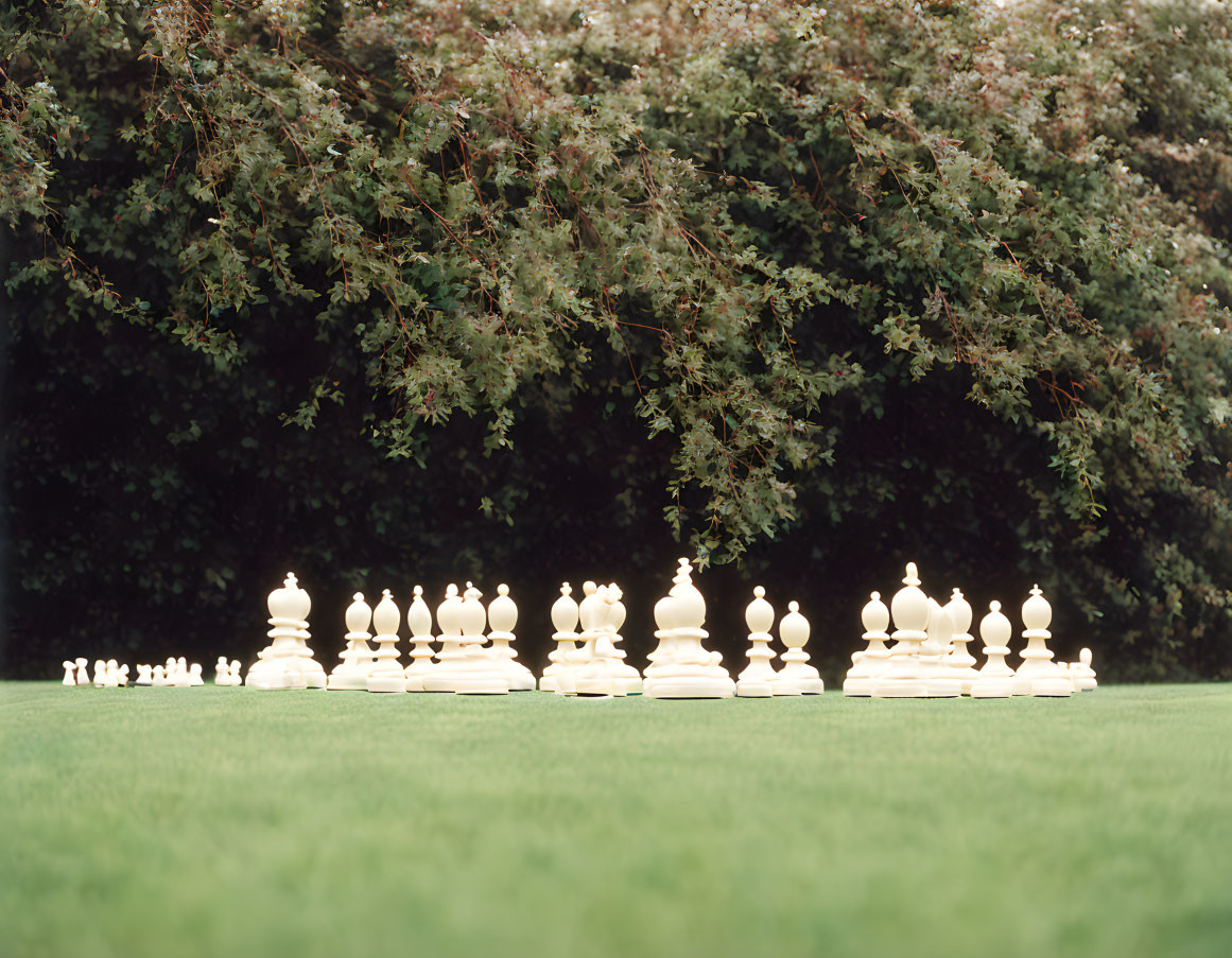 Oversized chess set on lush green lawn with background trees