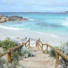 Tranquil beach scene with seagulls, calm ocean, soft sand, greenery, and