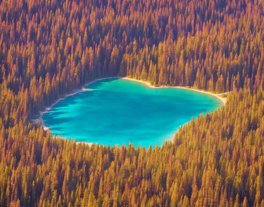 Vibrant teal lake in dense forest with autumnal trees under soft lighting