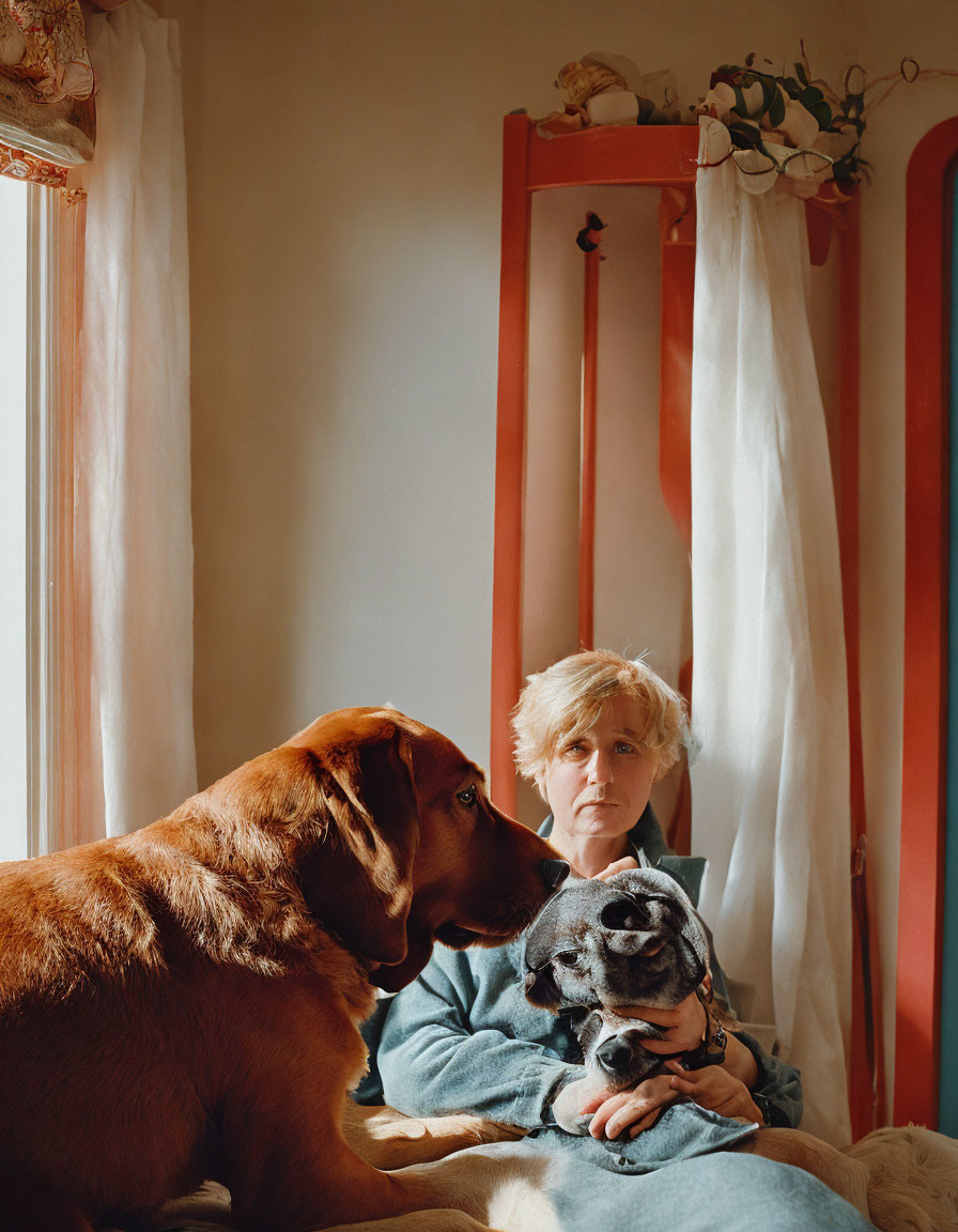 Person with small and large dogs by window in warmly lit room