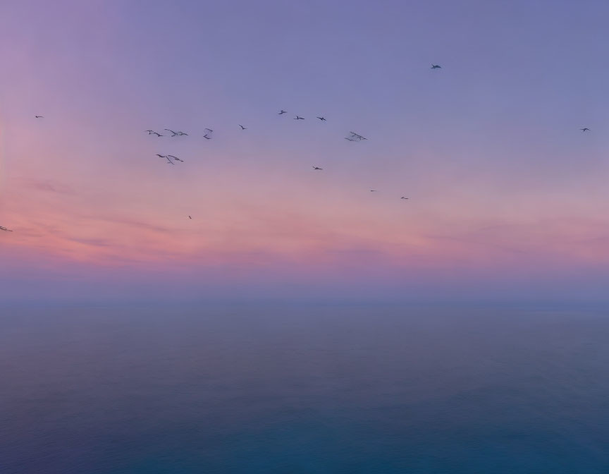 Tranquil Ocean Scene at Twilight with Birds in Flight