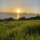 Tranquil coastal sunset watercolor with boat, lush greenery, and golden sky