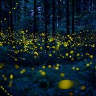 Night scene with floating lanterns illuminating dark forest and water.