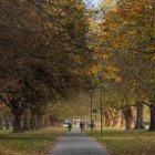 Enchanted forest with glowing path and vintage-dressed group in autumnal setting