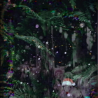 Enchanting forest scene with tall pine trees and twinkling lights in misty ambiance