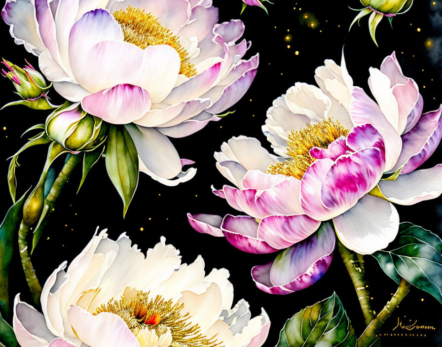 Colorful painting of blooming peonies on dark, starry backdrop