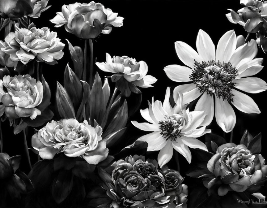 Monochrome bouquet with peonies and dahlias in full bloom