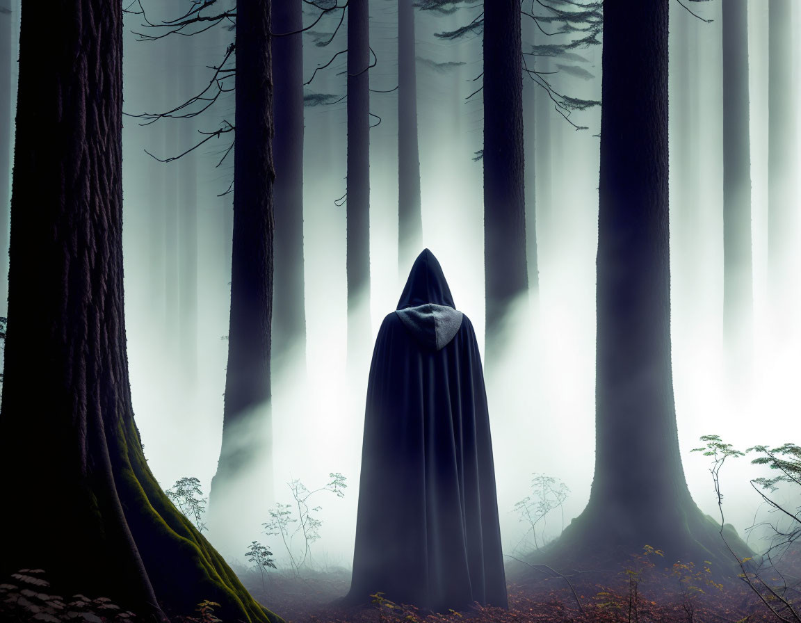 Misty forest scene with cloaked figure and ethereal trees