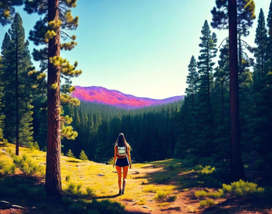 Hiker on Wooded Trail to Purple Mountains