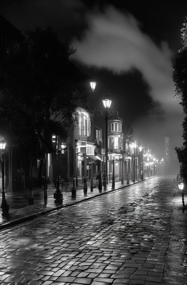 Monochrome night scene of wet cobblestone street with vintage lamps and buildings