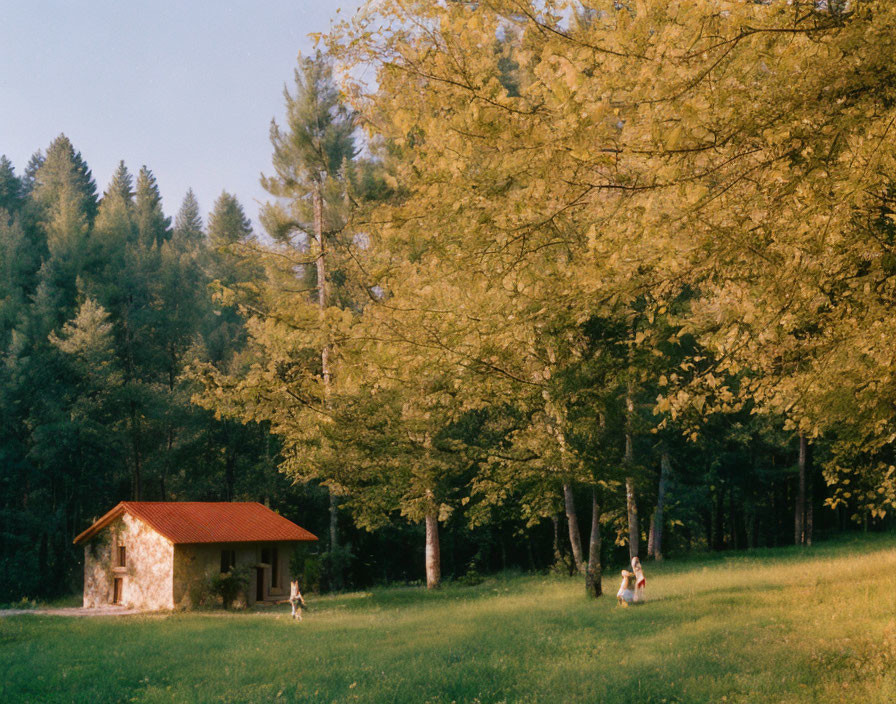 Rural scene: small stone house with red roof in green meadow with person nearby