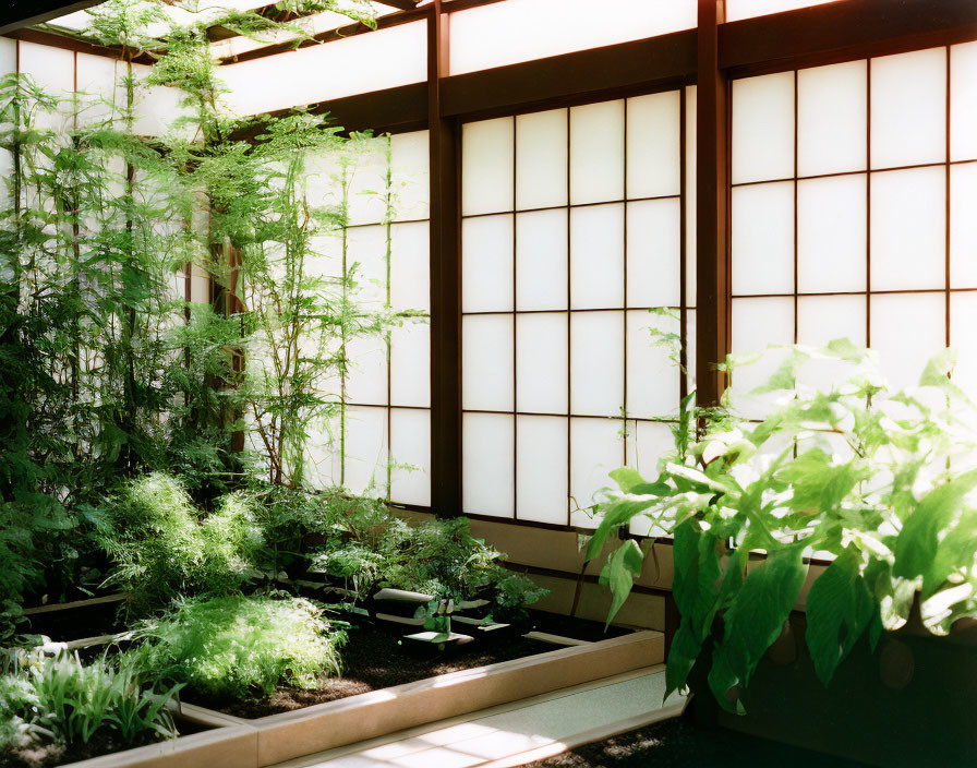 Traditional Japanese garden with lush greenery outside sliding shoji doors