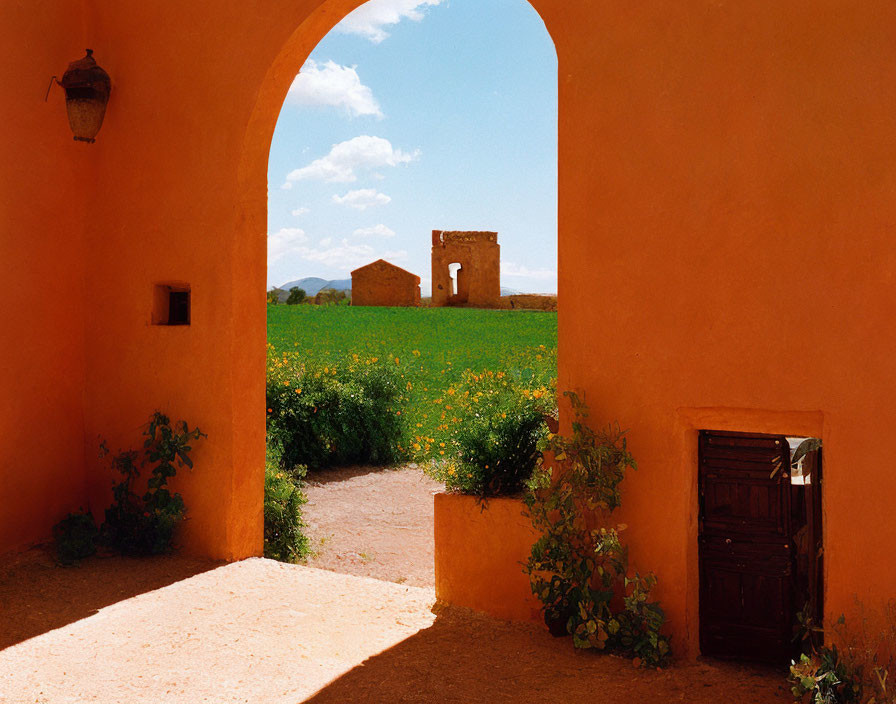 Colorful archway with yellow flowers, stone structure, and wooden door in scenic landscape