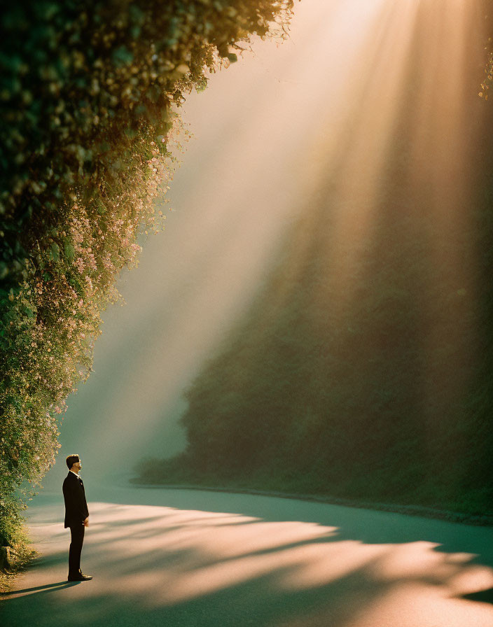 Person standing on tree-lined road in dramatic sunlight