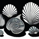 Monochrome seashell patterns on contrasting backdrop