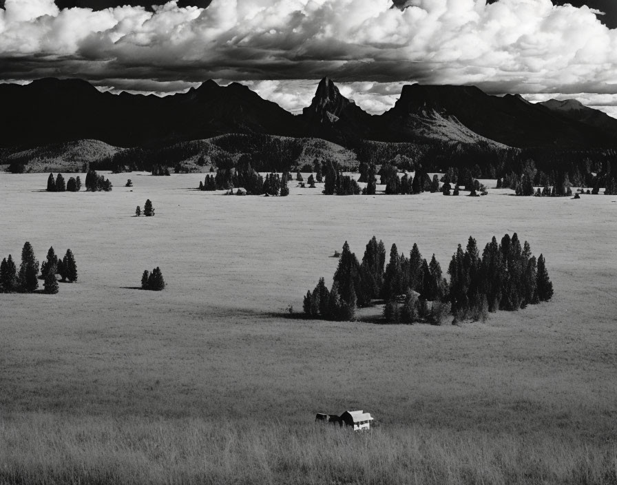 Monochrome landscape with field, trees, house, mountains, and cloudy sky