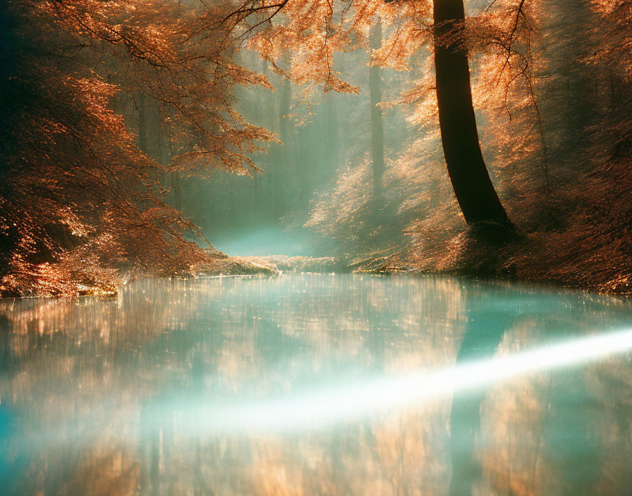 Tranquil forest river with autumn leaves and reflections