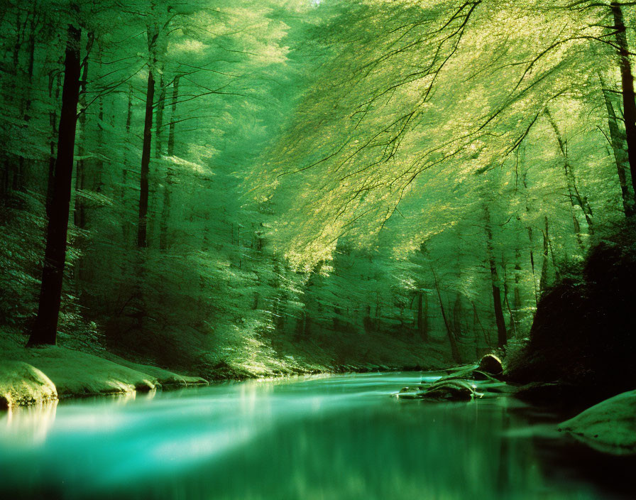 Tranquil forest landscape with sunbeams, stream, rocks, and lush trees