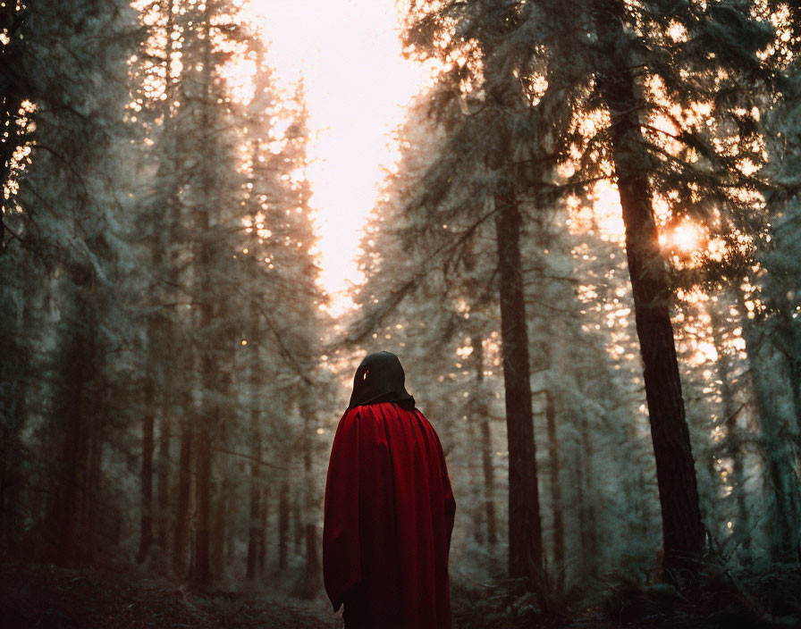 Person in Red Cloak Standing in Misty Forest with Sunbeams