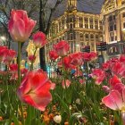 Night-lit garden with vibrant tulips and classical architecture