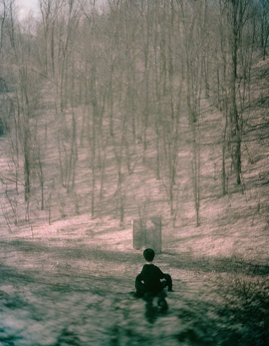 Figure Contemplating Leafless Forest Landscape