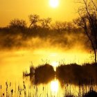 Surreal landscape with golden clouds, sun-like orbs, reflective water, and glowing blue trees