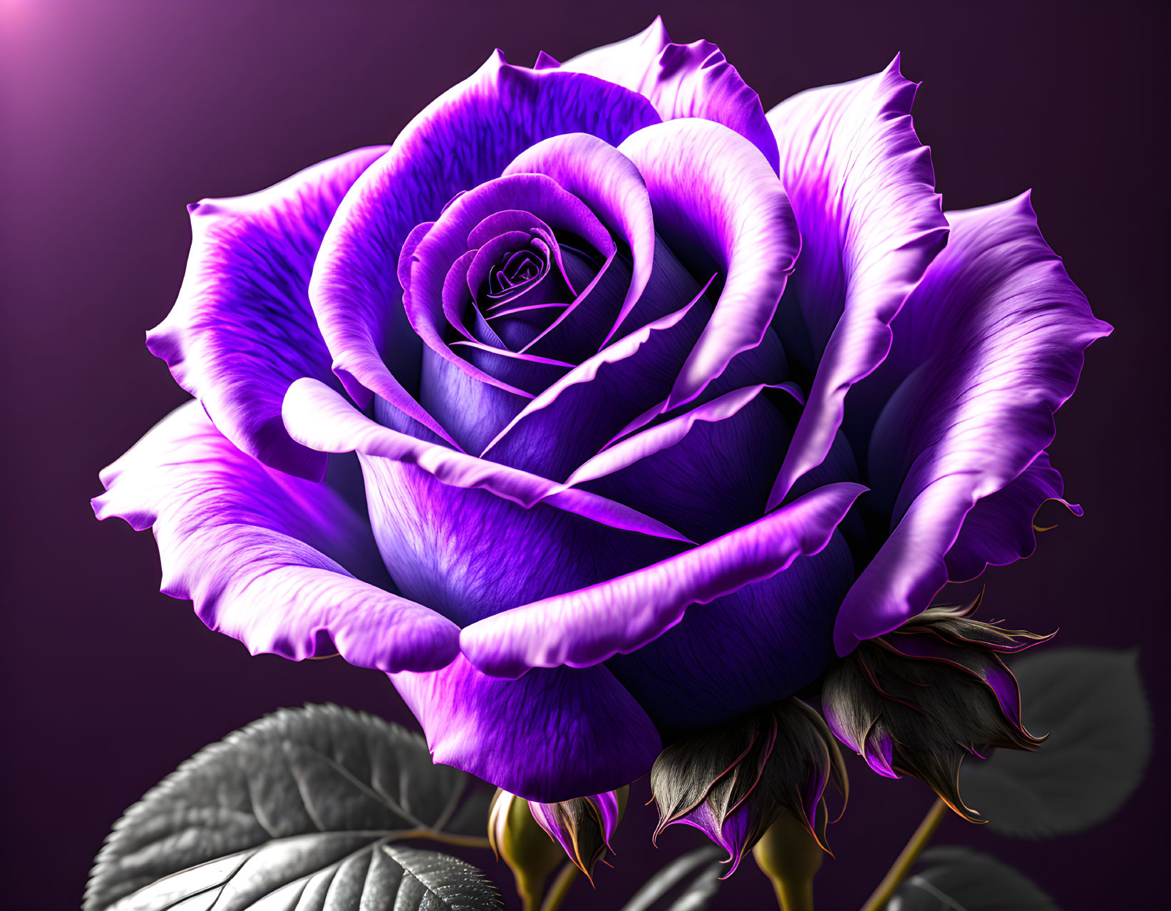 Detailed Close-Up of Vibrant Purple Rose on Dark Background