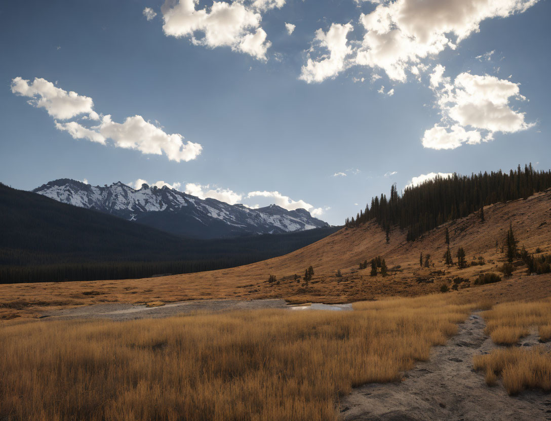 Tranquil landscape with meandering trail, golden meadow, snow-capped mountains, and dusk