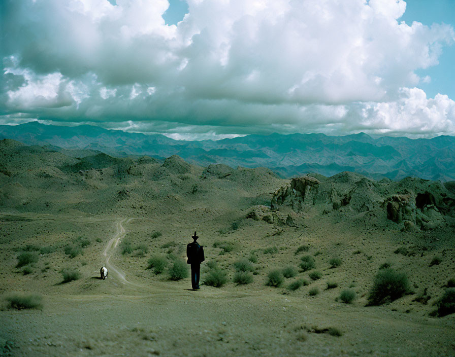 Figure in hat stands in desert landscape with mountains and cloudy sky.