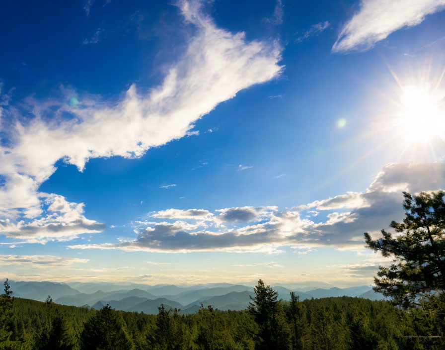 Scattered clouds over mountain landscape with pine trees