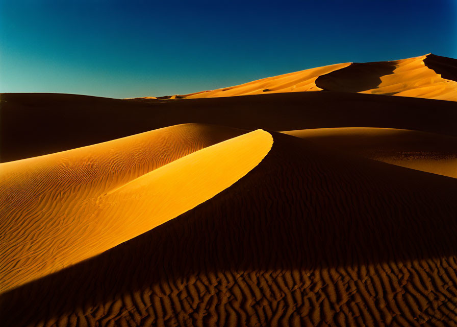 Scenic golden sand dunes under clear blue sky