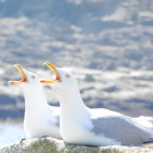 Couple in wedding attire on sandy shore with waterfall backdrop