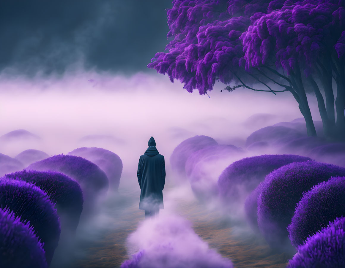 Cloaked figure in misty surreal landscape with purple trees.